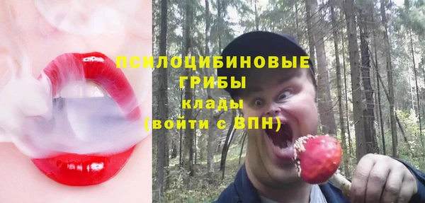 крисы Балахна