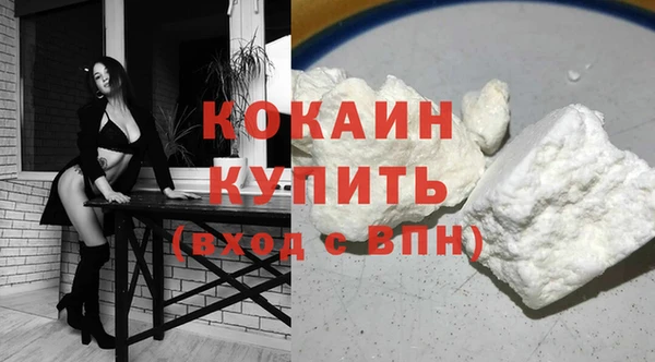 СК Снежинск