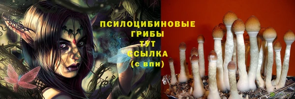 дмт Снежногорск