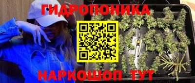 винт Новодвинск