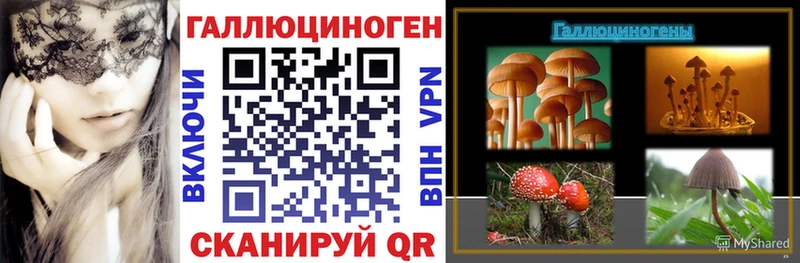 купить наркотики цена  Губаха  MEGA как зайти  Псилоцибиновые грибы Cubensis 