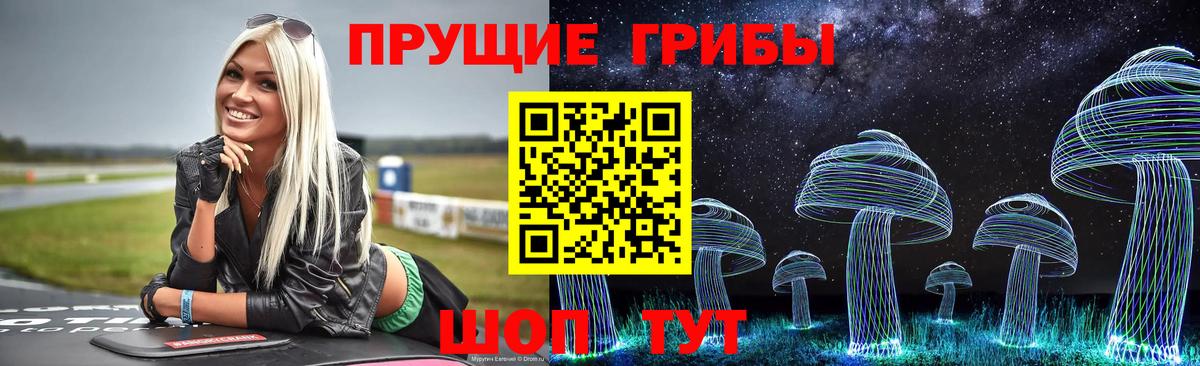 Губаха  Псилоцибиновые грибы GOLDEN TEACHER  Галлюциногенные грибы GOLDEN TEACHER  Вход с VPN 