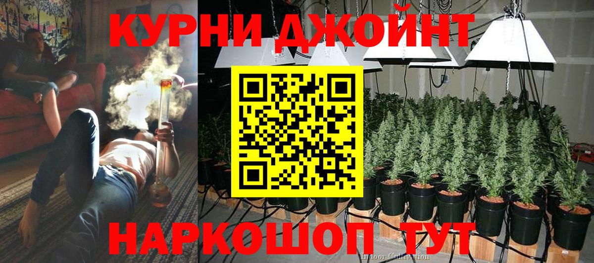 Шишки марихуана VHQ Губаха